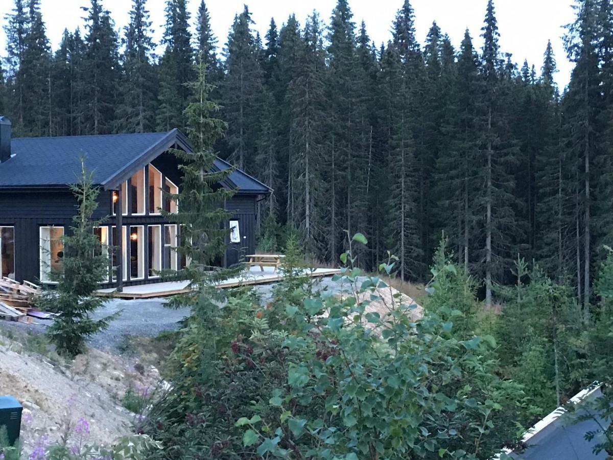 Вилла Lillebjorn Трисиль Экстерьер фото