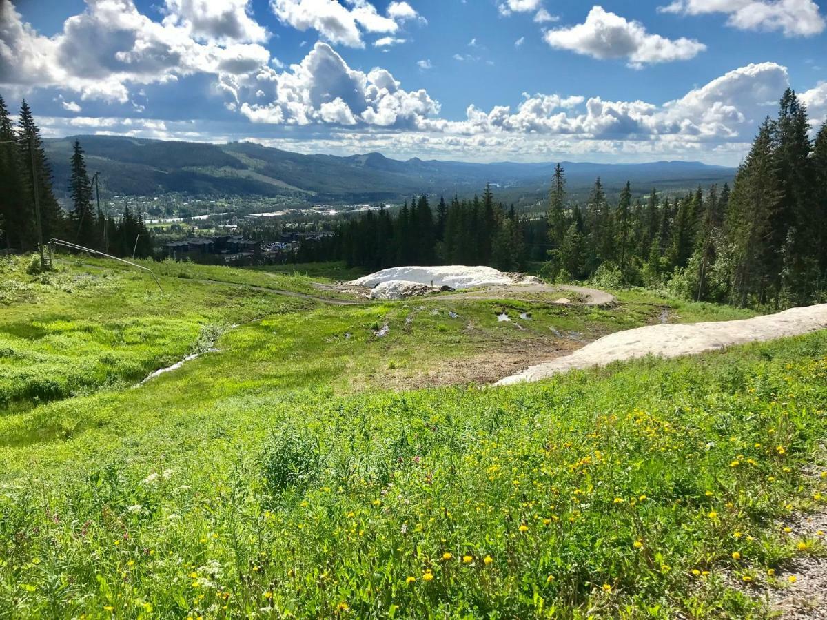 Вилла Lillebjorn Трисиль Экстерьер фото