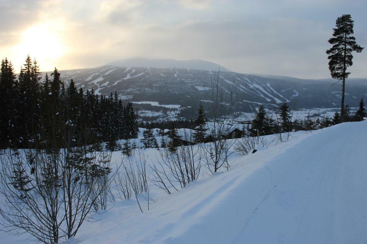 Вилла Lillebjorn Трисиль Экстерьер фото