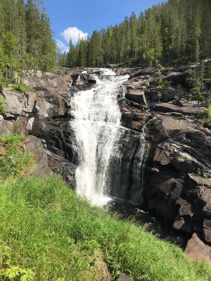 Вилла Lillebjorn Трисиль Экстерьер фото